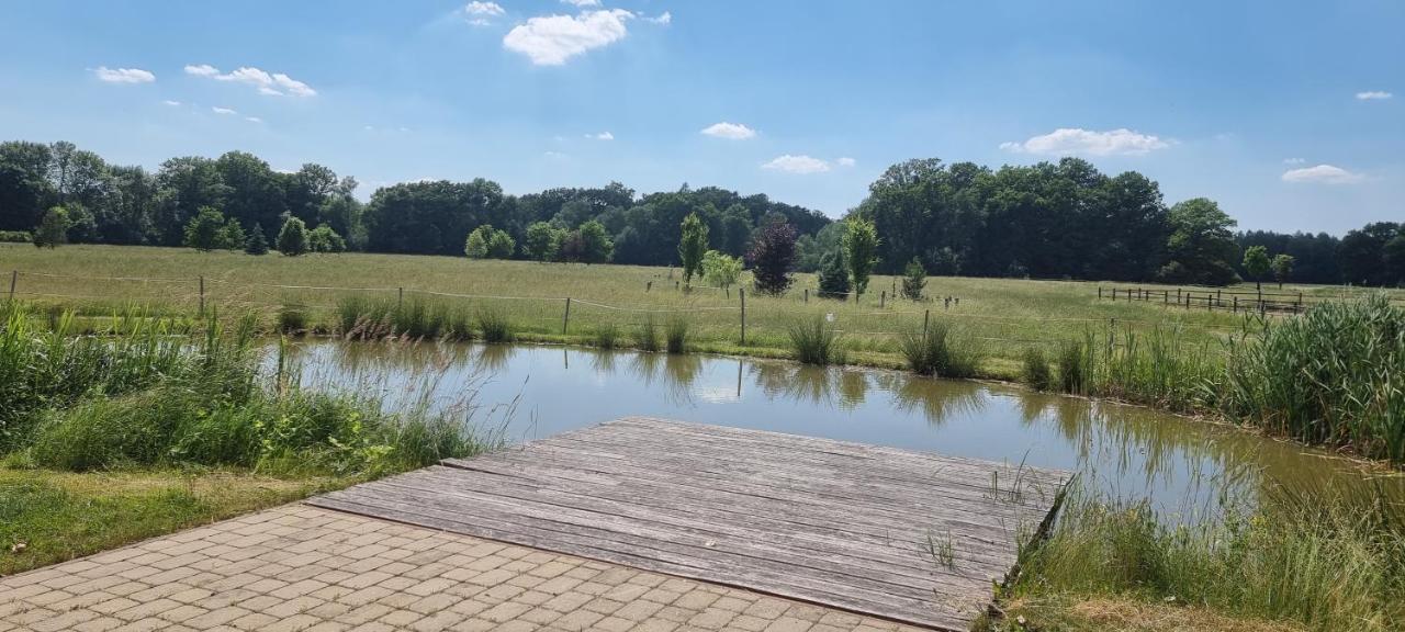 Villa Ranc Orlice Třebechovice pod Orebem Esterno foto