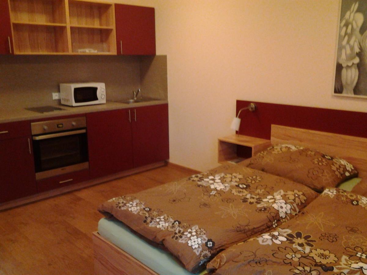 Villa Ranc Orlice Třebechovice pod Orebem Esterno foto