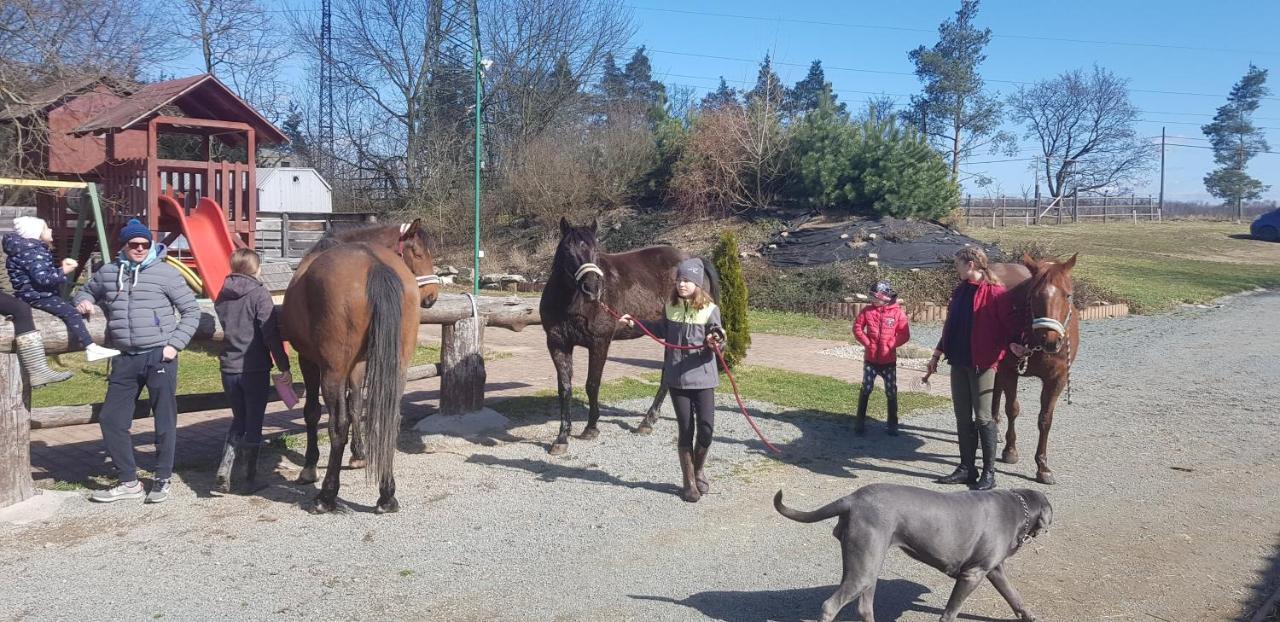 Villa Ranc Orlice Třebechovice pod Orebem Esterno foto