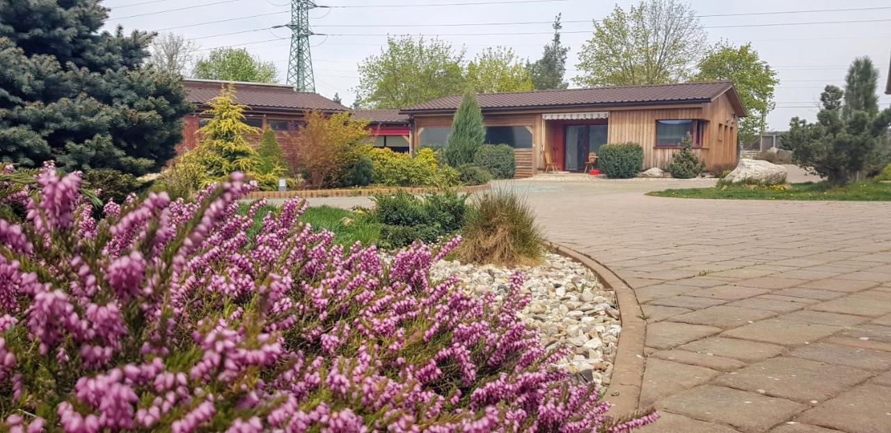 Villa Ranc Orlice Třebechovice pod Orebem Esterno foto