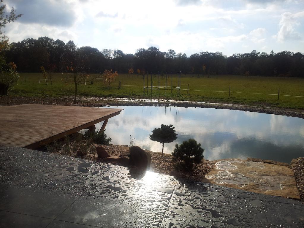 Villa Ranc Orlice Třebechovice pod Orebem Esterno foto